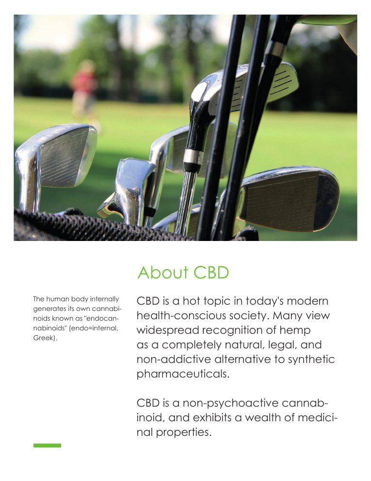 CBD Golf Pitch Deck2-p-3